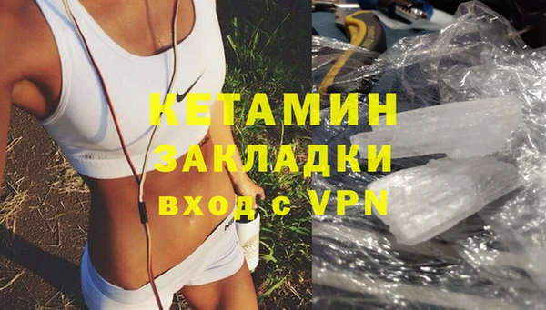 дмт Богданович