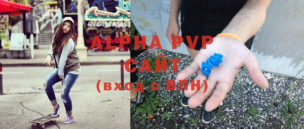 дмт Богданович