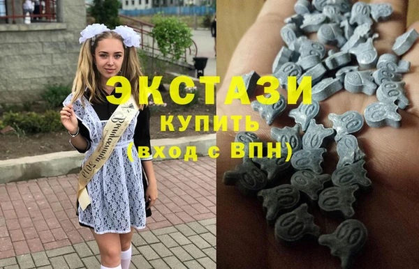 дмт Богданович
