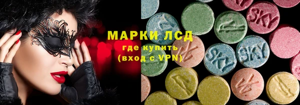 дмт Богданович