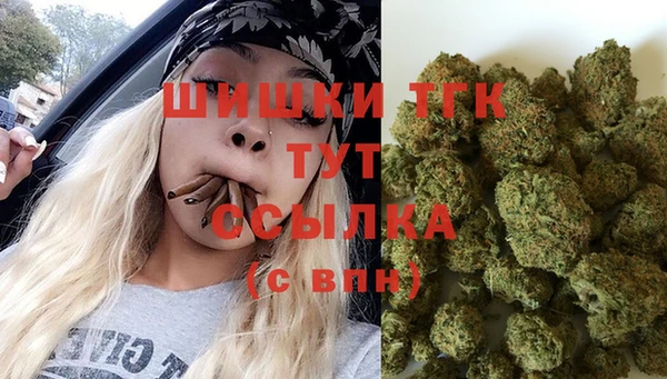2c-b Богородицк