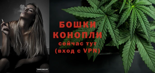 дмт Богданович